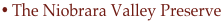 shapeimage_7_link_4